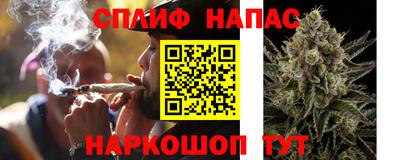 крисы Дубна