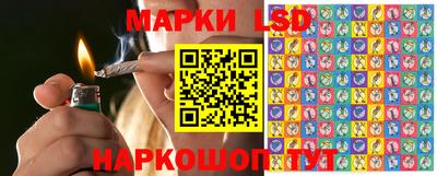 крисы Дубна