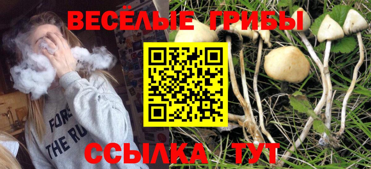 Галлюциногенные грибы Cubensis  Псилоцибиновые грибы Magic Shrooms  сколько стоит  Усть-Илимск  Вход с VPN 